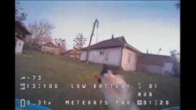 A Cat Intercepts a Drone