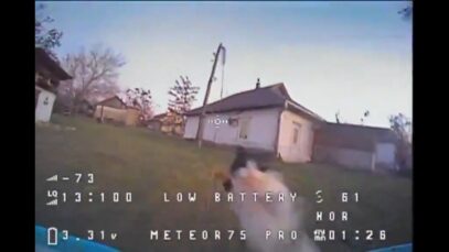 A Cat Intercepts a Drone