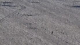 Did Russians on Crutches Actually Attack Ukrainian Frontlines? Let’s Find