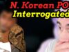 Leaked North Korean POW Interrogation is WILD!