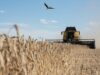Ukraine hits $24.5 billion in agro-exports, nearing pre-war levels, Agriculture