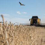 Ukraine hits $24.5 billion in agro-exports, nearing pre-war levels, Agriculture Ministry reports