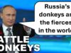 Russia is Sending Donkeys to the War Zone… Seriously