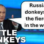 Russia is Sending Donkeys to the War Zone... Seriously