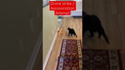 Footage of Drone Strike/Assassination attempt on Putin ##ukraine #ukrainewar …