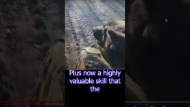 Ukraine’s Leadership is Following ours, because it works #shorts