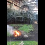 The Hedgehog BMP Gets Destroyed