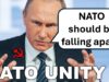 Good News for Ukraine at NATO Summit!